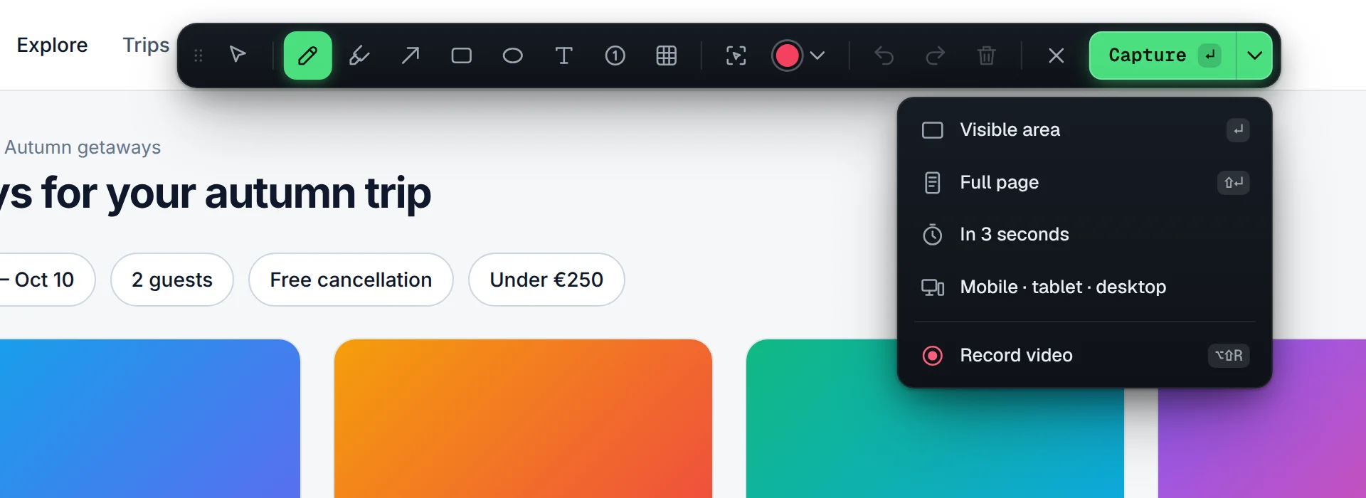 Capture menu: visible area, full page, in 3 seconds, mobile · tablet · desktop and record video